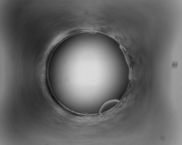 X0000103310005200808291439