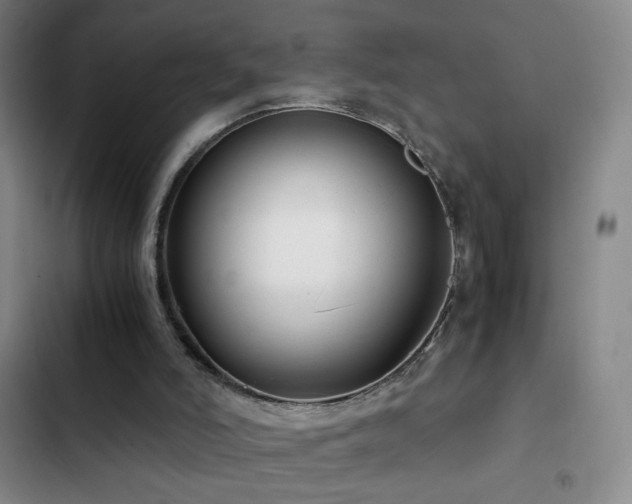 X0000103310006200808291439