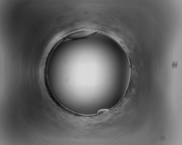 X0000103310007200808291439