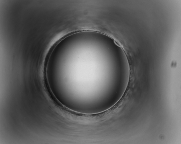 X0000103310008200808291439