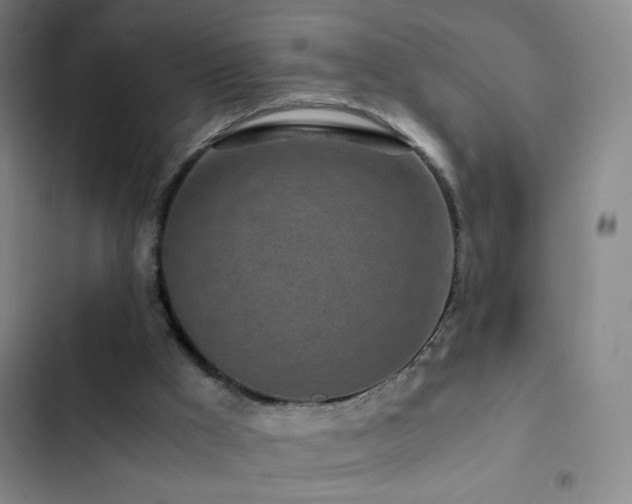 X0000103310009200808291439