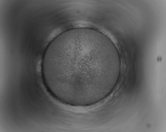 X0000103310010200808291439