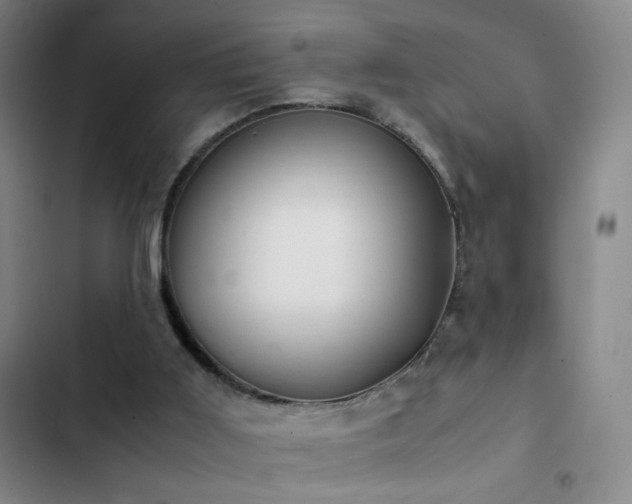 X0000103310011200808291439