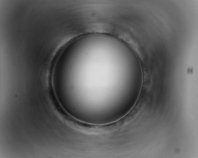 X0000103310012200808291439