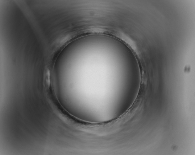 X0000103310013200808291439