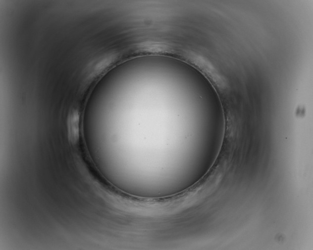 X0000103310014200808291439
