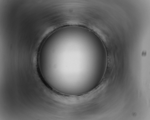 X0000103310015200808291439