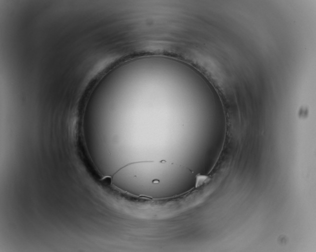 X0000103310016200808291439