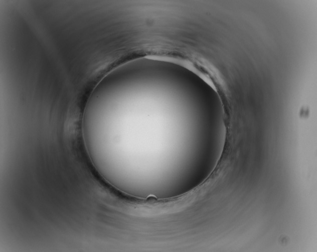 X0000103310017200808291439