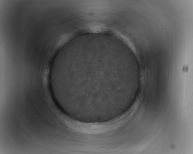 X0000103310018200808291439