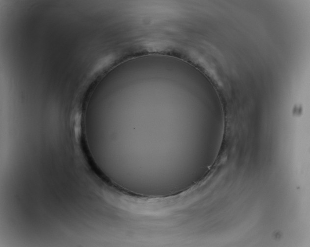X0000103310019200808291439
