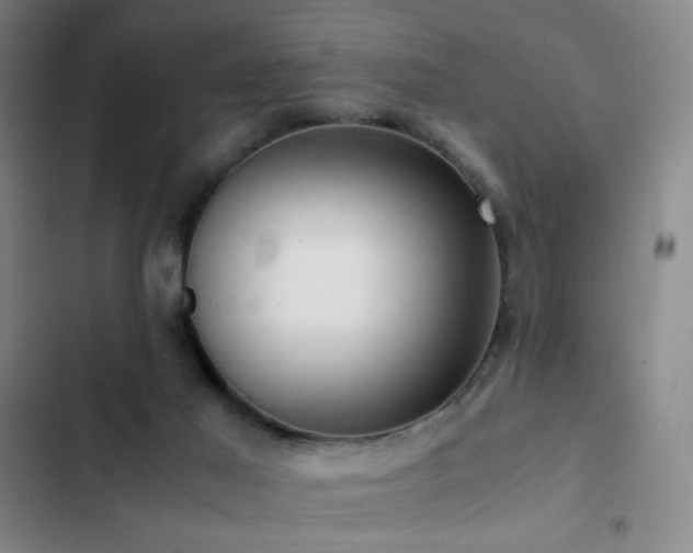 X0000103310021200808291439