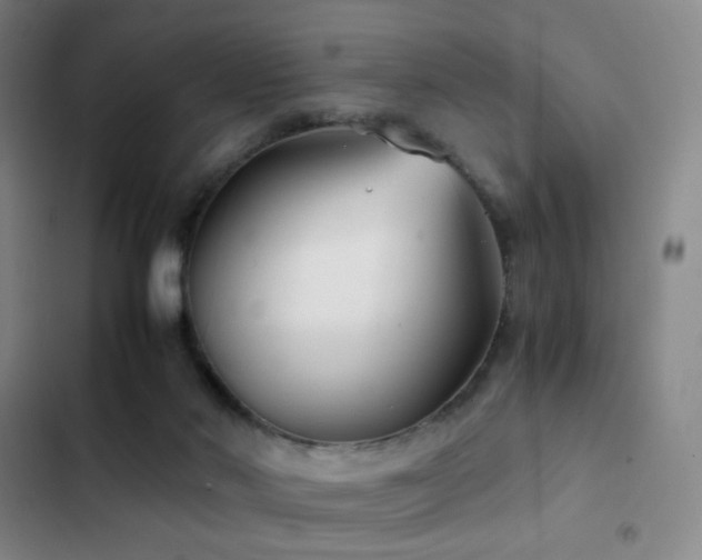 X0000103310022200808291439