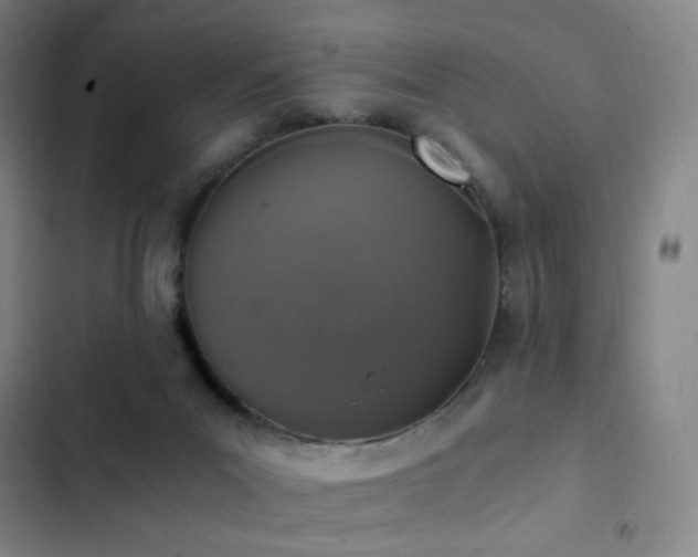 X0000103310023200808291439