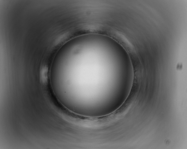 X0000103310024200808291439