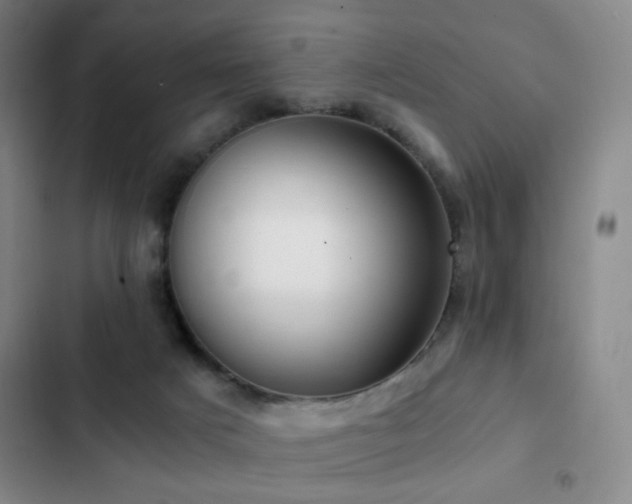 X0000103310025200808291439