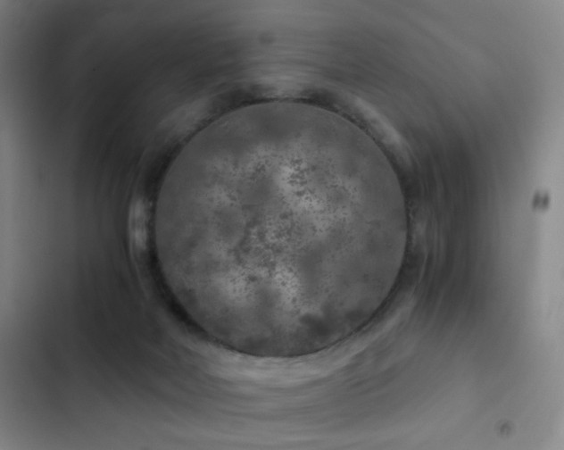 X0000103310026200808291439