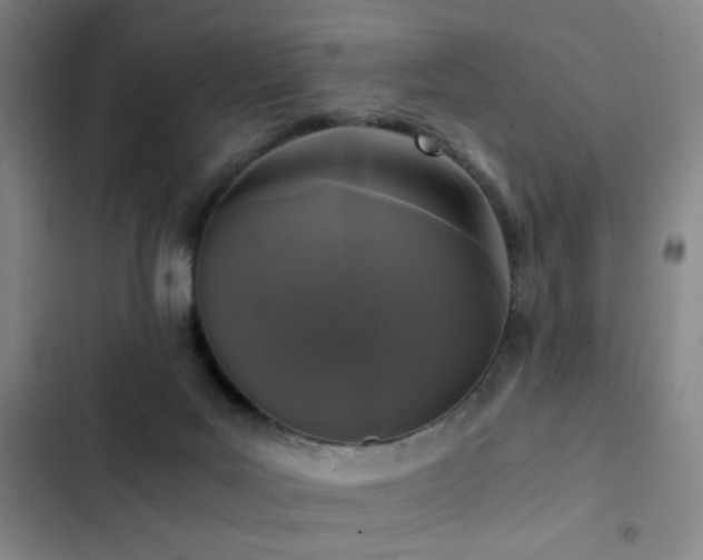 X0000103310027200808291439