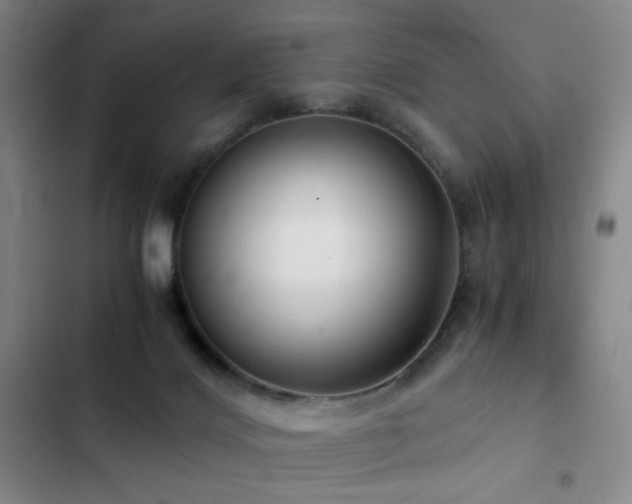 X0000103310028200808291439