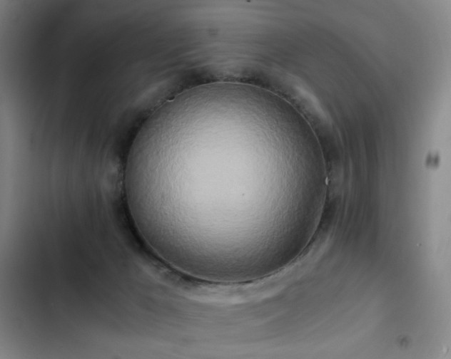 X0000103310029200808291439