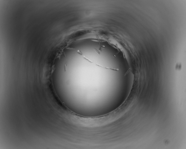 X0000103310030200808291439