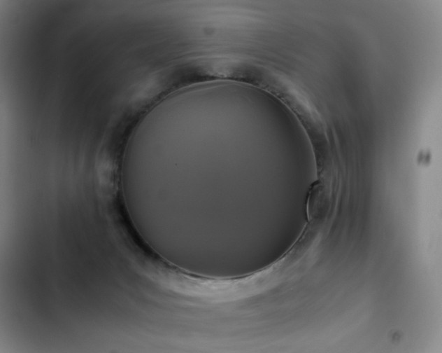 X0000103310031200808291439
