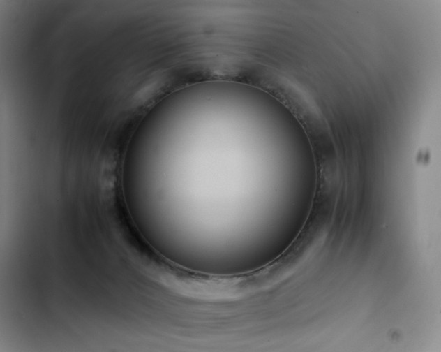 X0000103310032200808291439