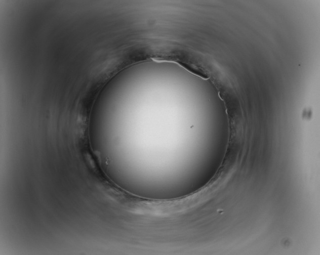 X0000103310033200808291439
