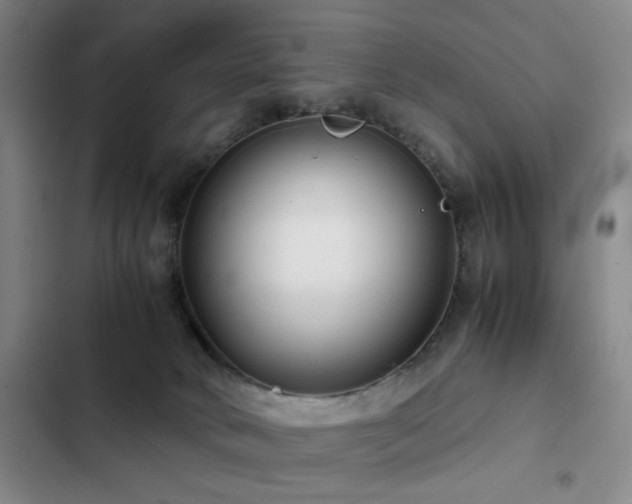 X0000103310034200808291439