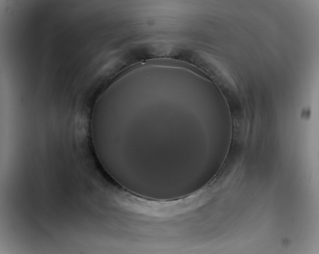 X0000103310035200808291439