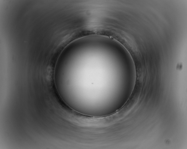 X0000103310036200808291439