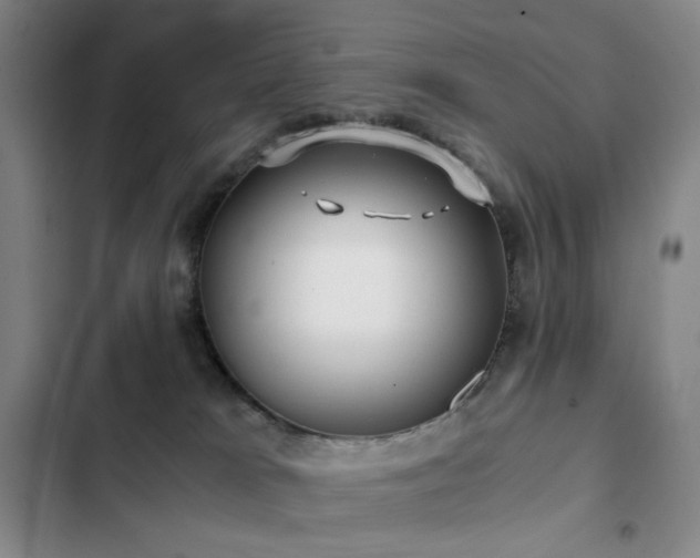 X0000103310037200808291439