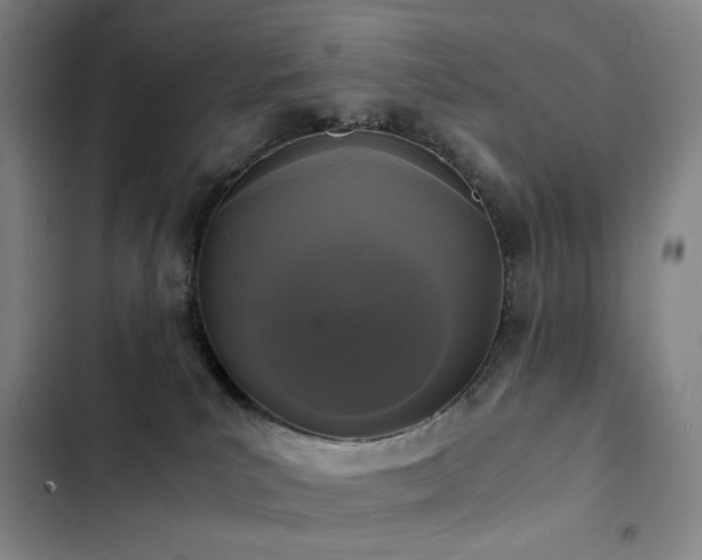X0000103310039200808291439