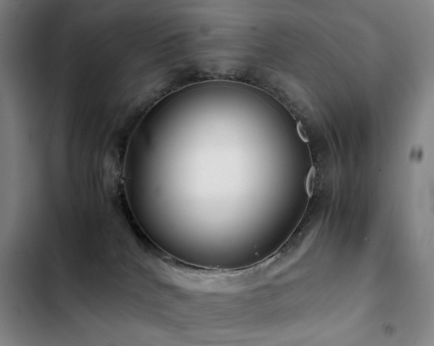 X0000103310040200808291439