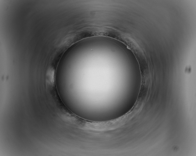 X0000103310041200808291439