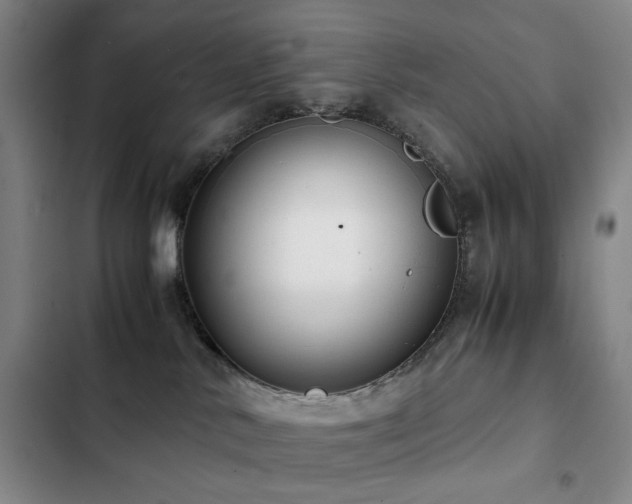 X0000103310042200808291439