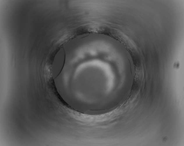 X0000103310043200808291439
