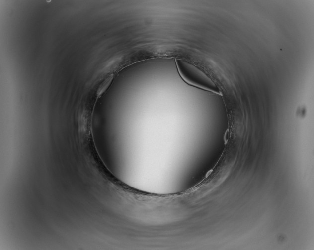 X0000103310044200808291439