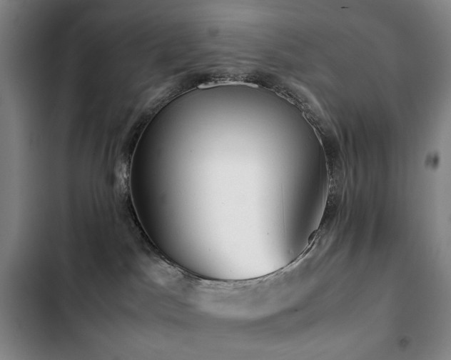 X0000103310045200808291439