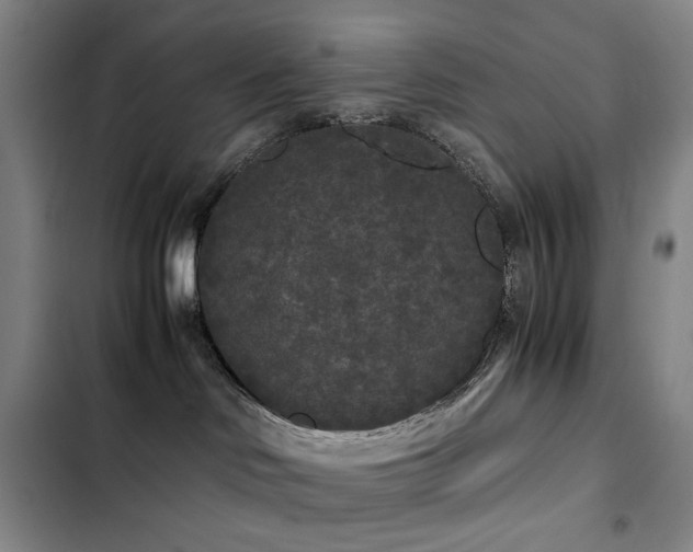 X0000103310046200808291439