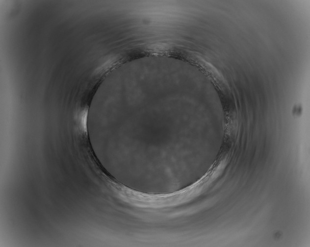 X0000103310047200808291439