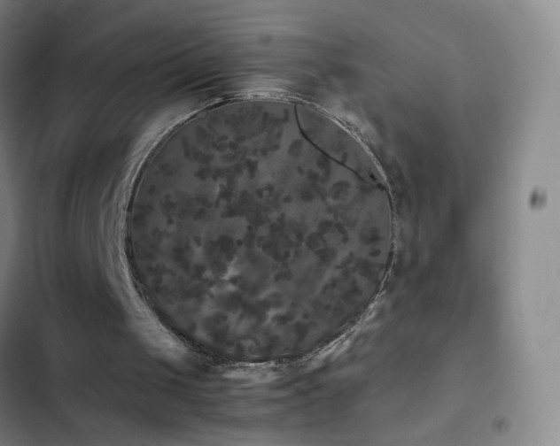 X0000103310049200808291438