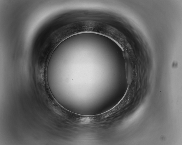 X0000103310050200808291438