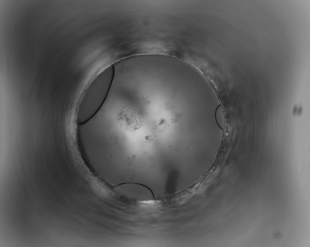 X0000103310053200808291438