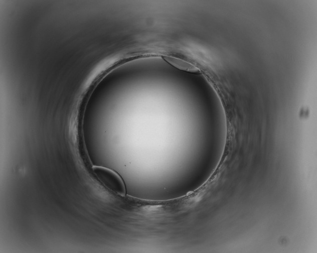 X0000103310054200808291438
