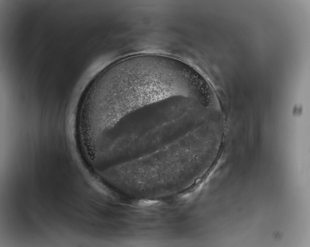 X0000103310055200808291438