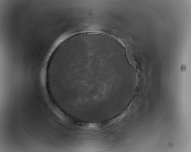 X0000103310056200808291438
