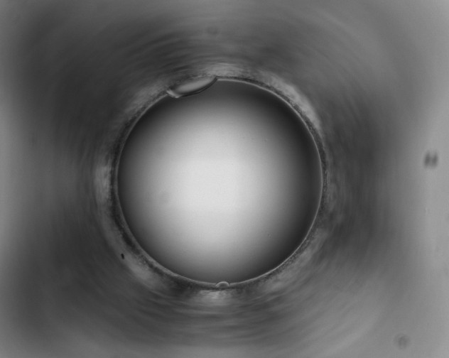 X0000103310057200808291438