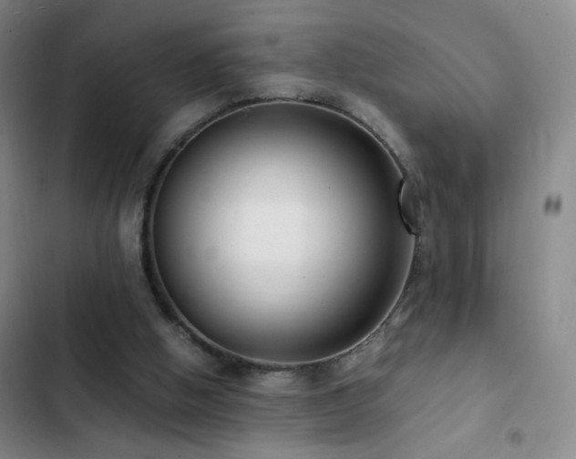 X0000103310058200808291438
