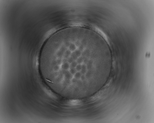 X0000103310059200808291438